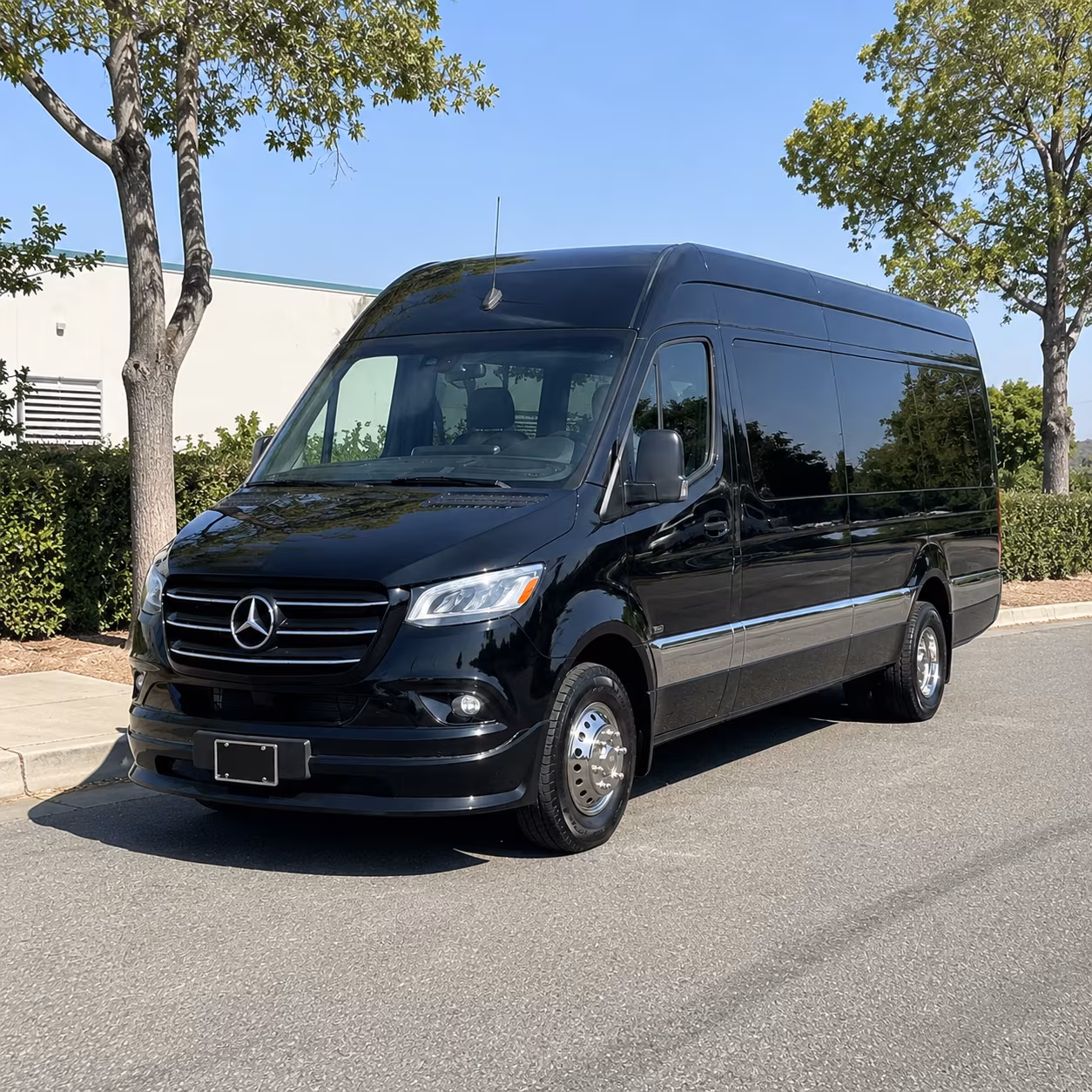 castle rock sprinter limousine